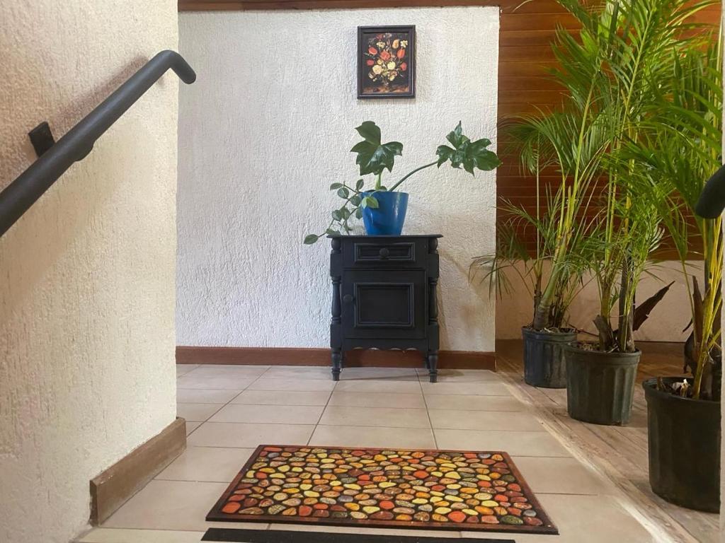 daBene Francavilla B&B photo 1