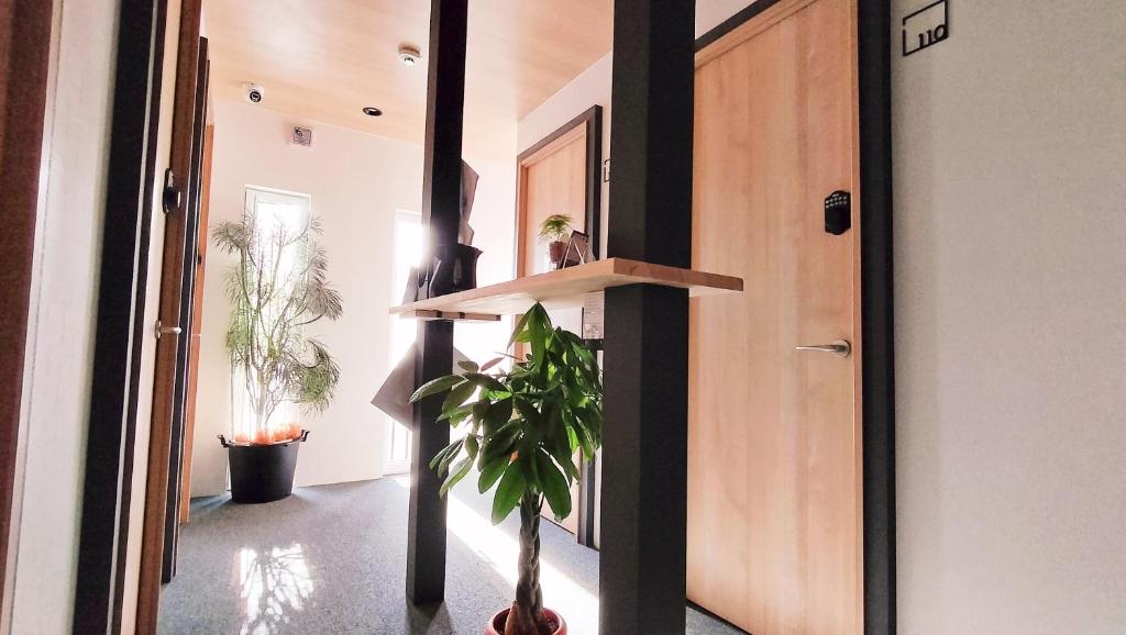 Sho inn MINIMAL HOTEL 小樽駅から無料送迎あり photo 1