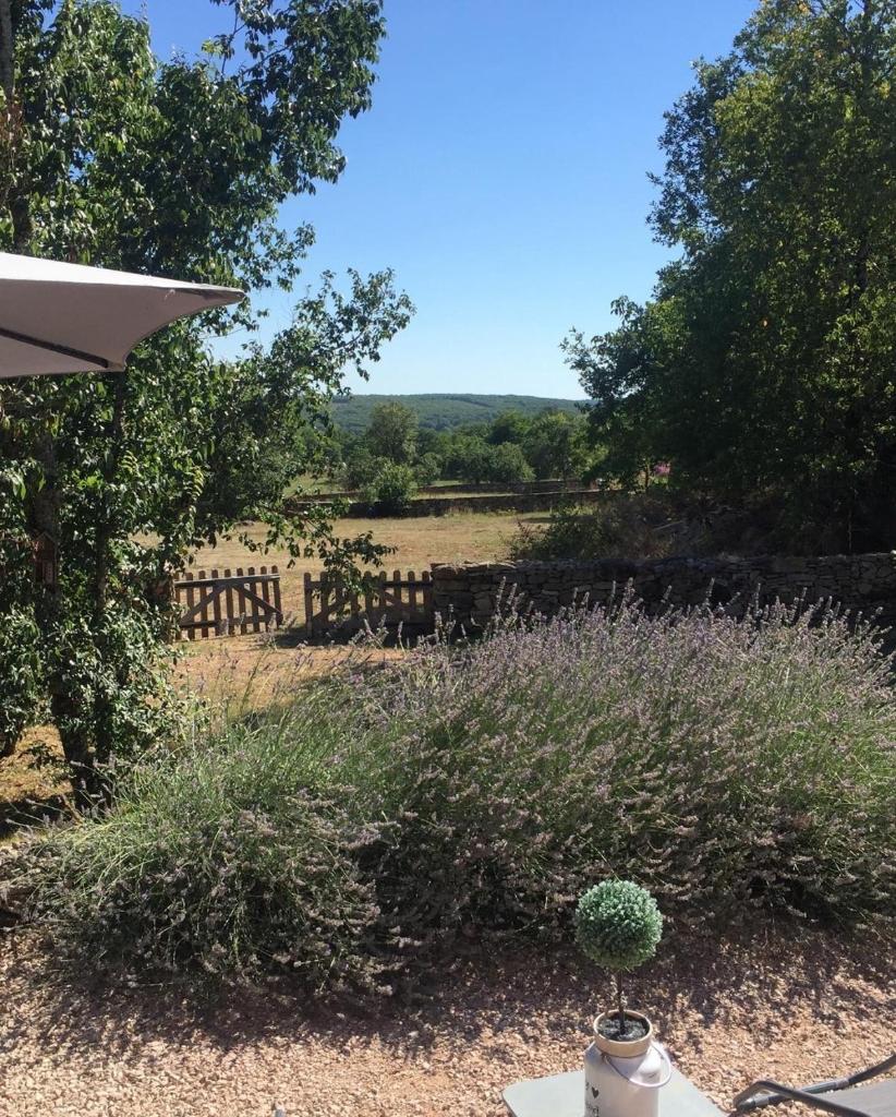 TINY HOUSE & SPA photo 4