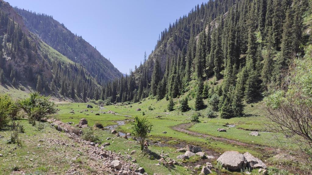 Yurt camp ALI-NUR at lake Song-Kol юрточный лагерь Али-Нур озеро Сон-Куль Сон-Куль Кыргызстан Нарын Kyrgyzstan Naryn photo 4