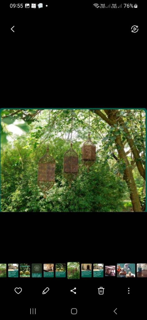 The Salvage Garden photo 2