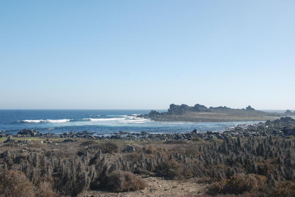 Cabanas Las Hualas photo 2