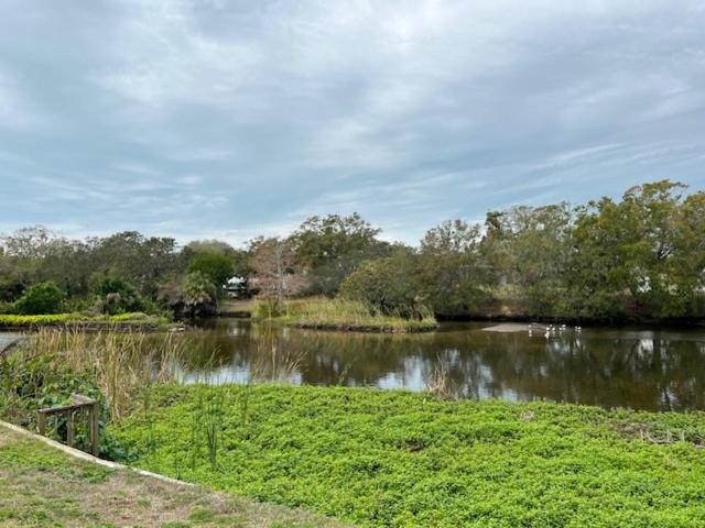 Creek House photo 3