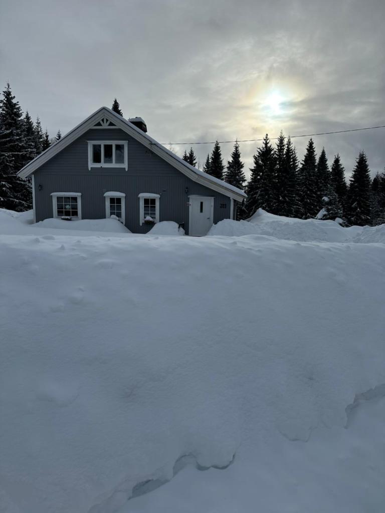 Søre Osen Ørbekken photo 1