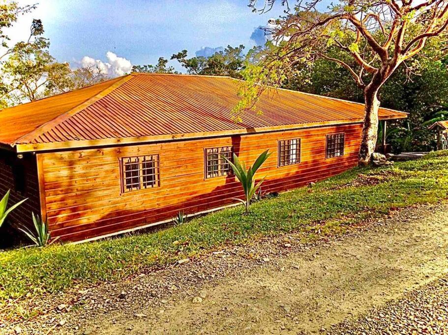 Casa Café Roatan, Honduras photo 4