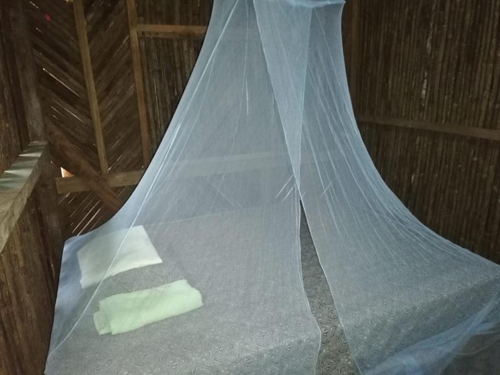 Hospedaje Agroturismo Wounaan photo 3