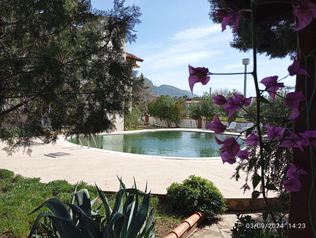 SoNi OTEL DALYAN photo 4