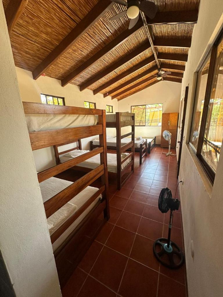 Surfing Turtle Lodge photo 1