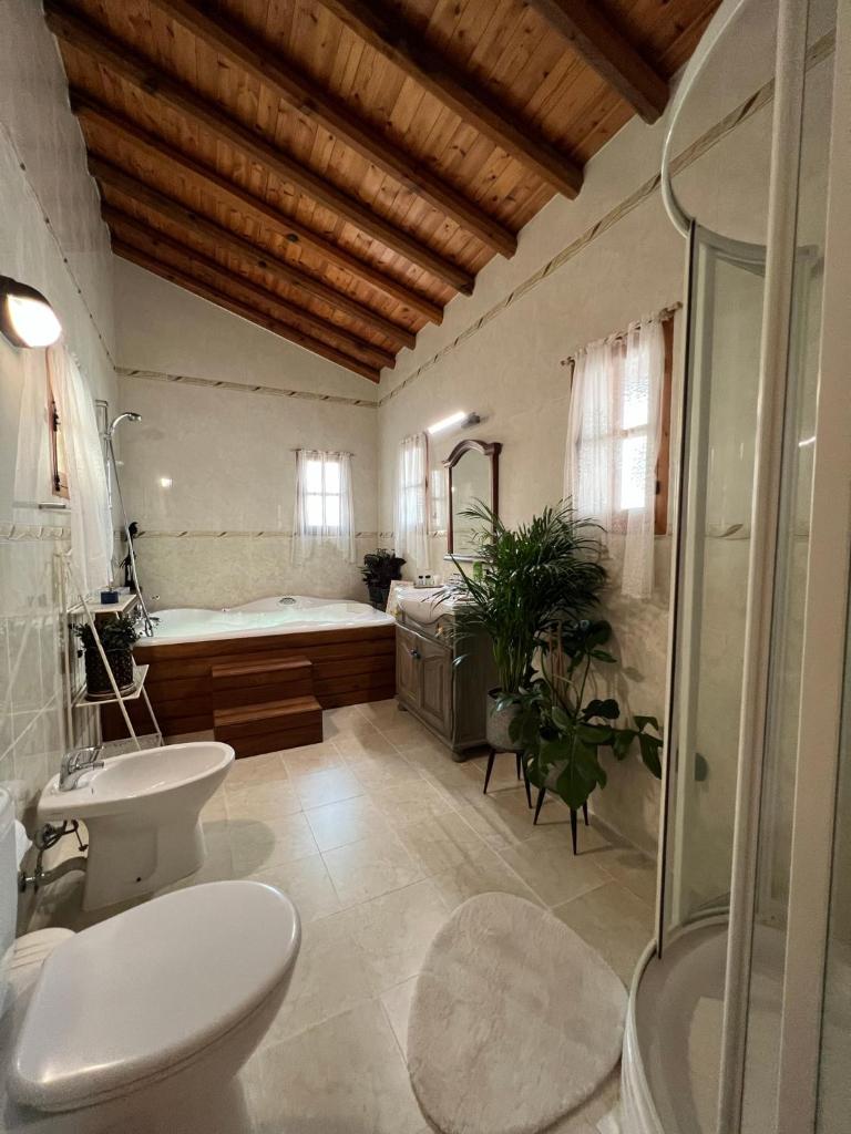 Florence Dreaming House photo 4