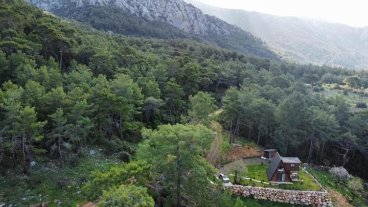 Doğanın İçinde Lüks Jakuzili Balayı Bungalovu(роскошное шале с джакузи) photo 1