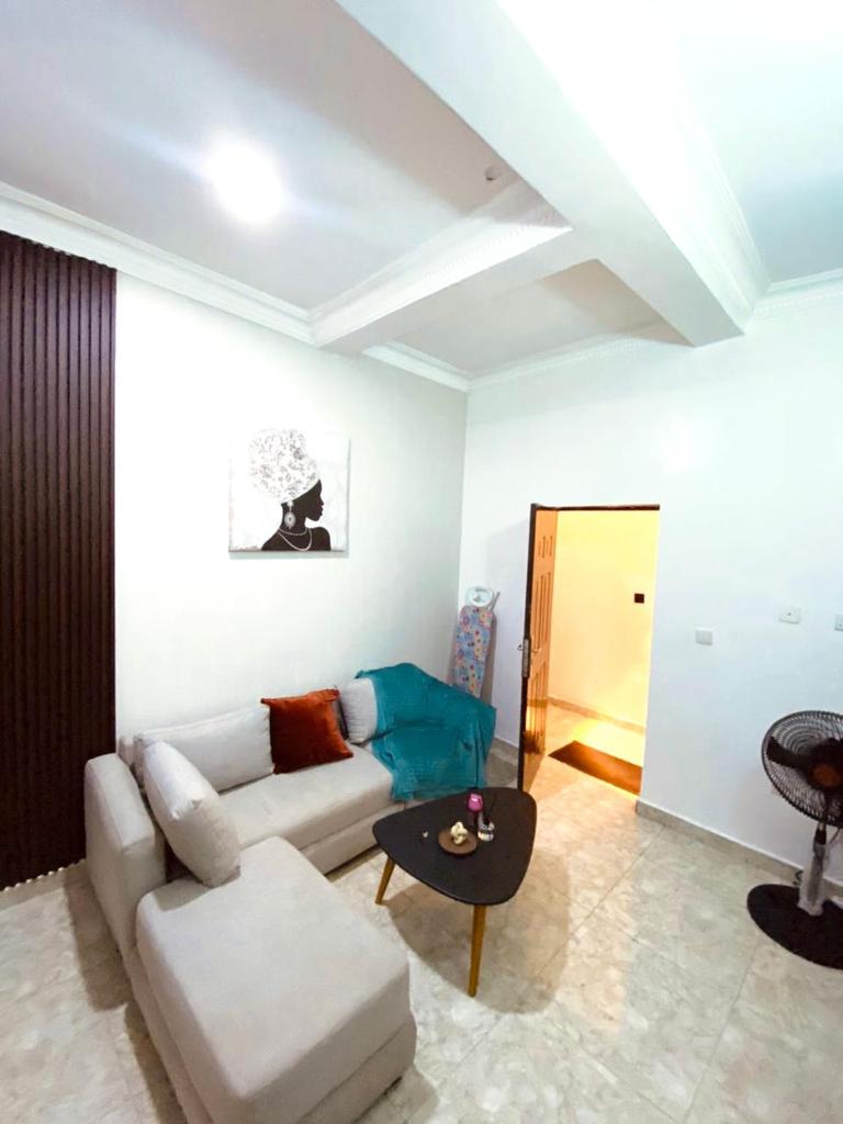 Brown Doors Apartment Wuse Abuja