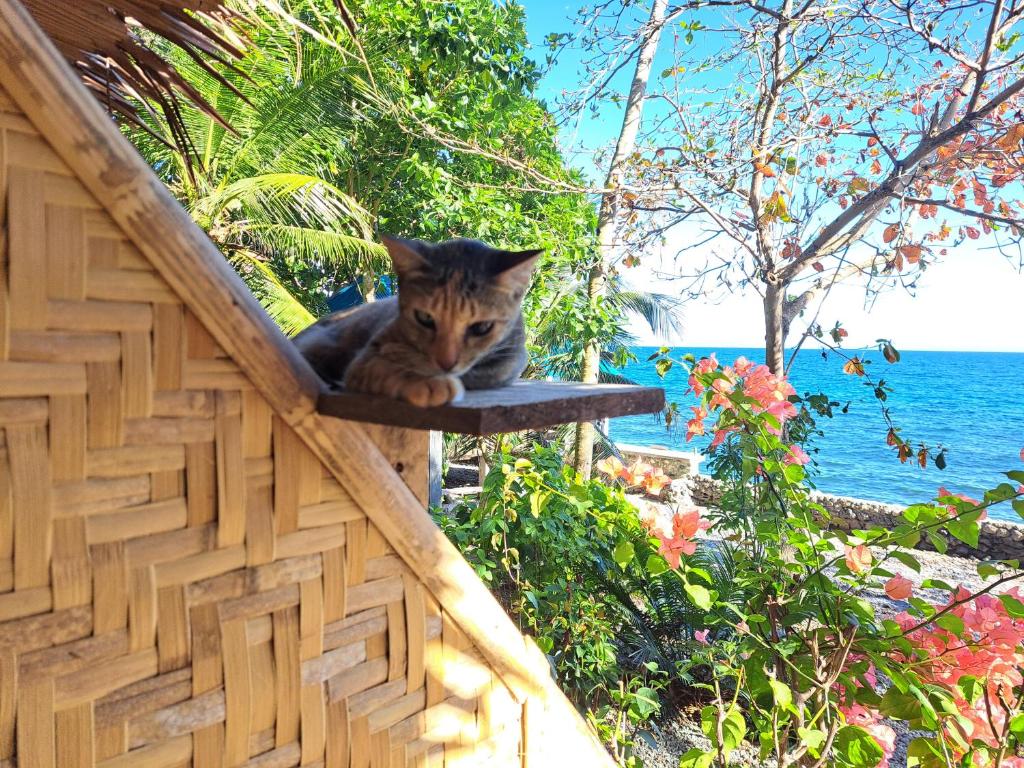 Paseo Del Mar Seaside Dive Inn photo 3