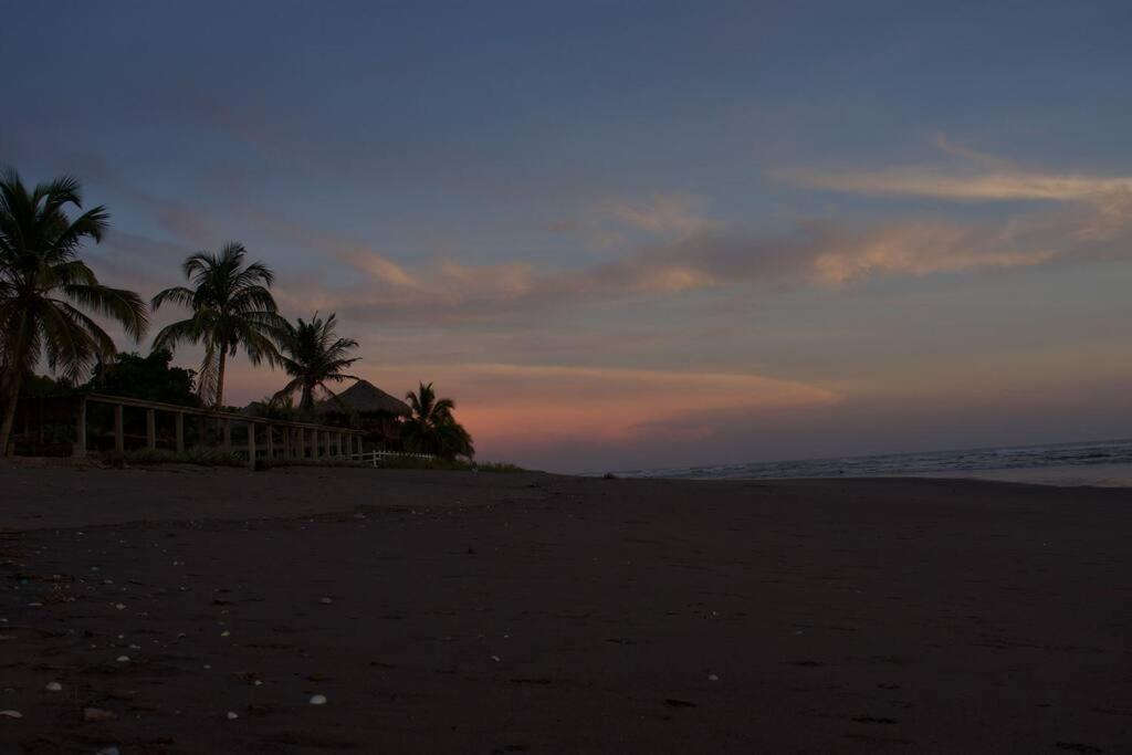 Casa Tres Pescados photo 3