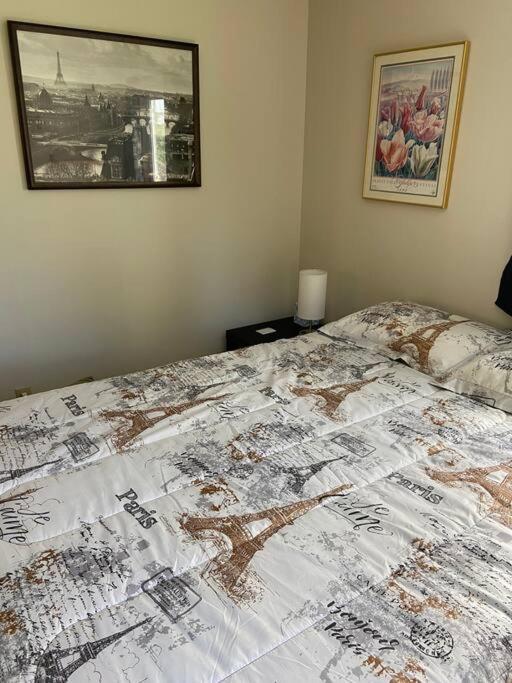 Friendly one bedroom with full kitchen and bath photo 2