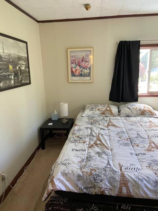 Friendly one bedroom with full kitchen and bath photo 3