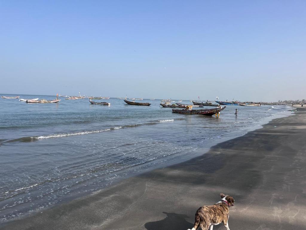Ama Batokunku Resort photo 4