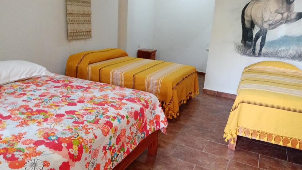 Hotel Hacienda Huasteca photo 4