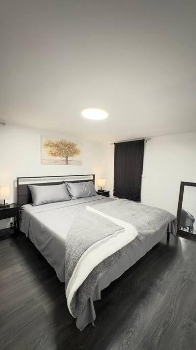 2 Bedroom Basement Suite in the heart of Laval photo 1