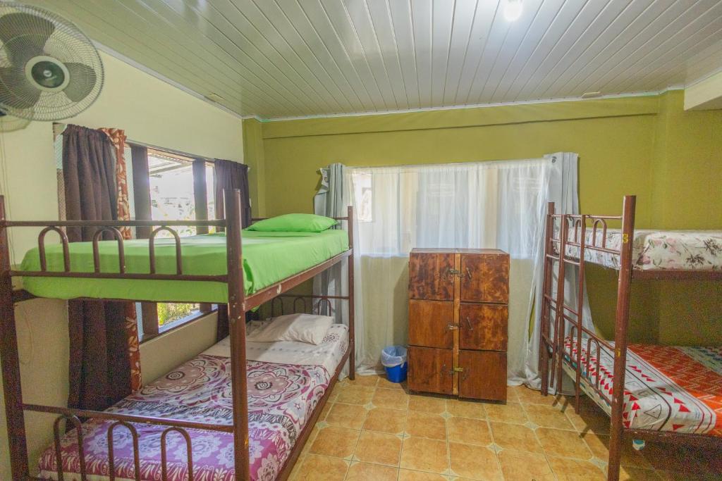 New Hostel Manuel Antonio, Meet new people photo 1
