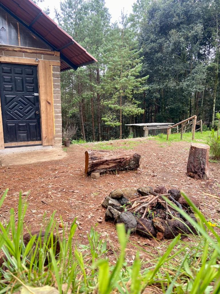 Cabaña en el bosque photo 3