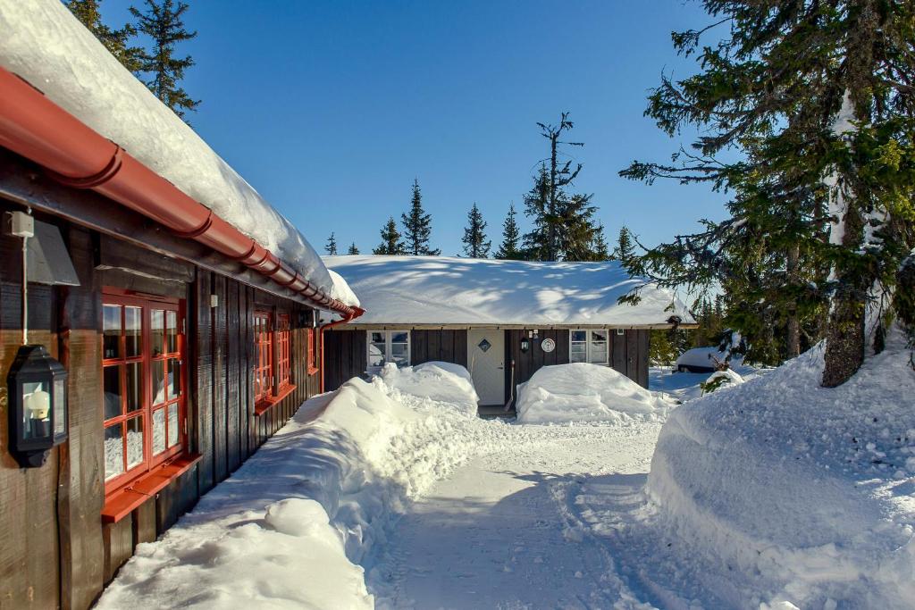 Charming cabin in Sjusjøen with sauna and super location photo 4
