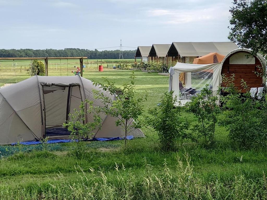 tHoefijzer Luxere Blokhutten - 5 personen photo 2