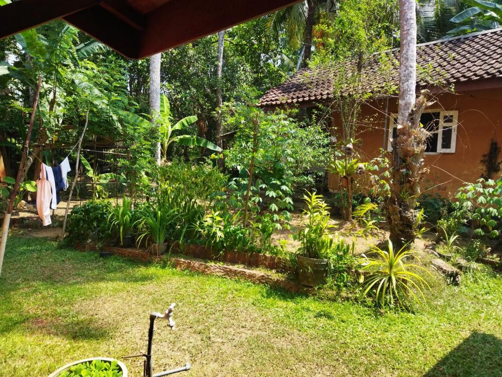 Straw-bale House photo 2