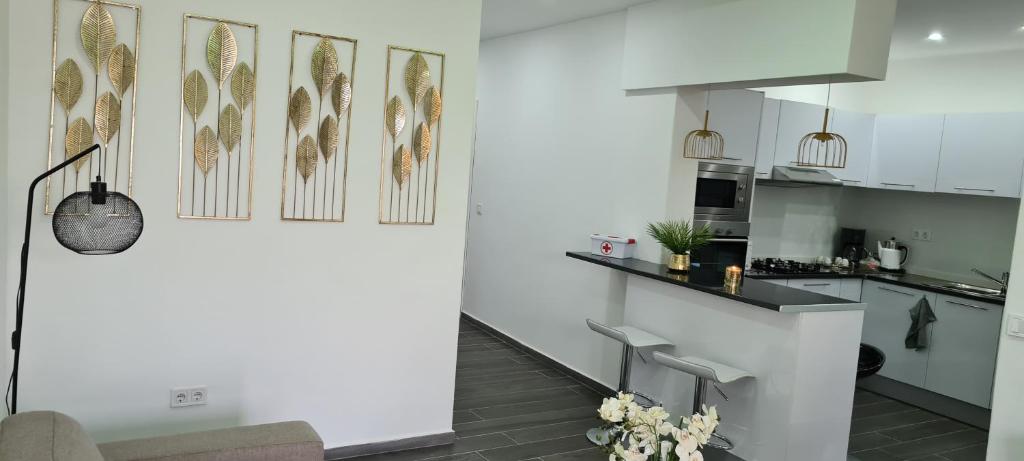 Cazino Apartamento III photo 1