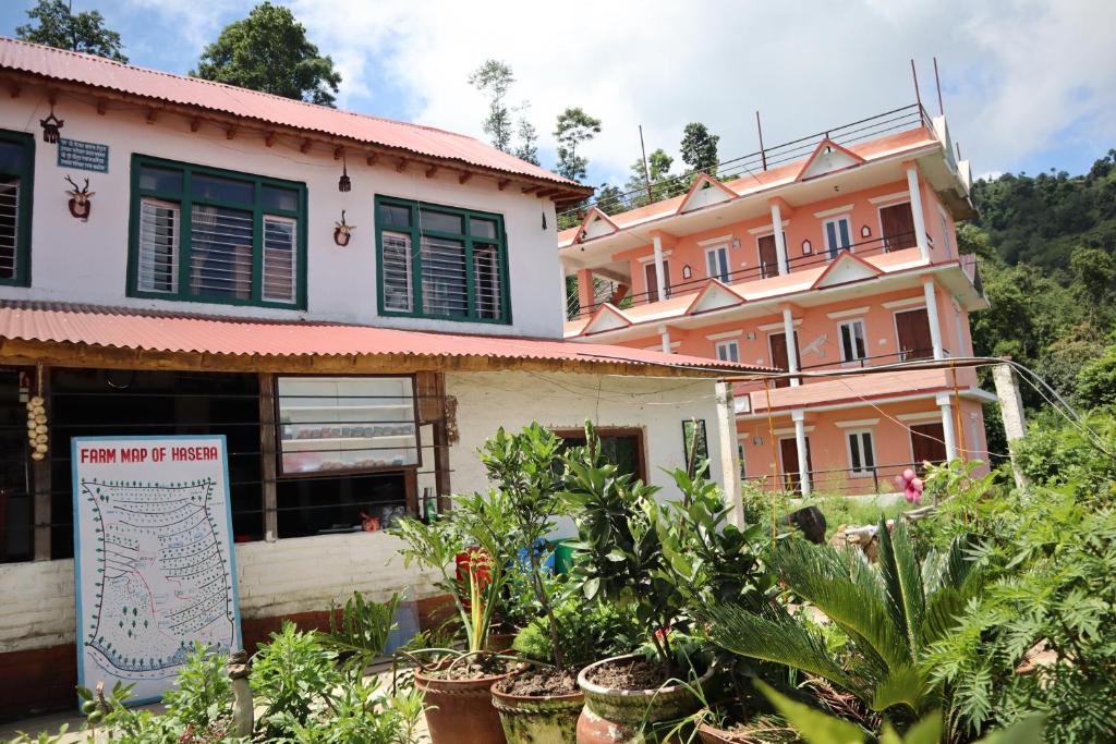 Hasera Organic Farmstay: Farm to Table & Mountain View