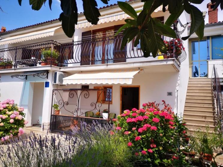 Apartmani Rita Oliva photo 3