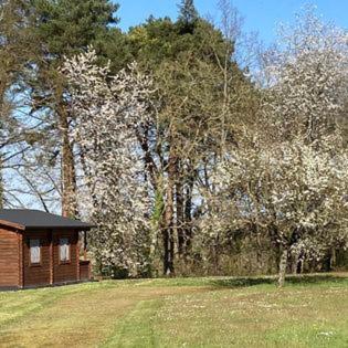 Travellers Rest cabin photo 1