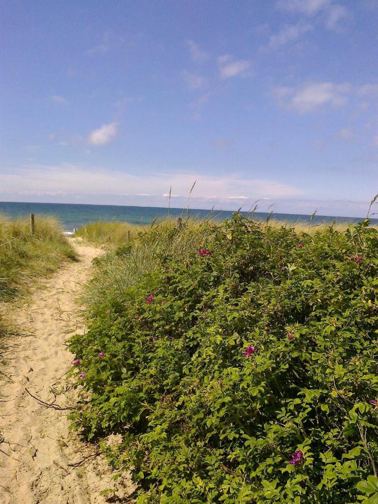 Ferienhaus am Strand GM 69668 photo 3