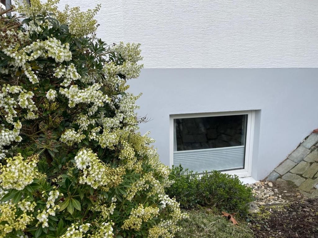 Haus Sauer Bad Sassendorf photo 2
