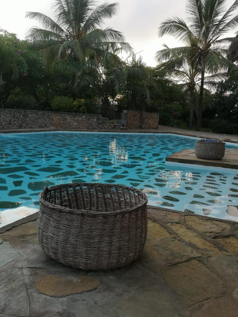 Fulvia House photo 2