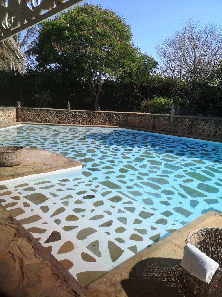 Fulvia House photo 3
