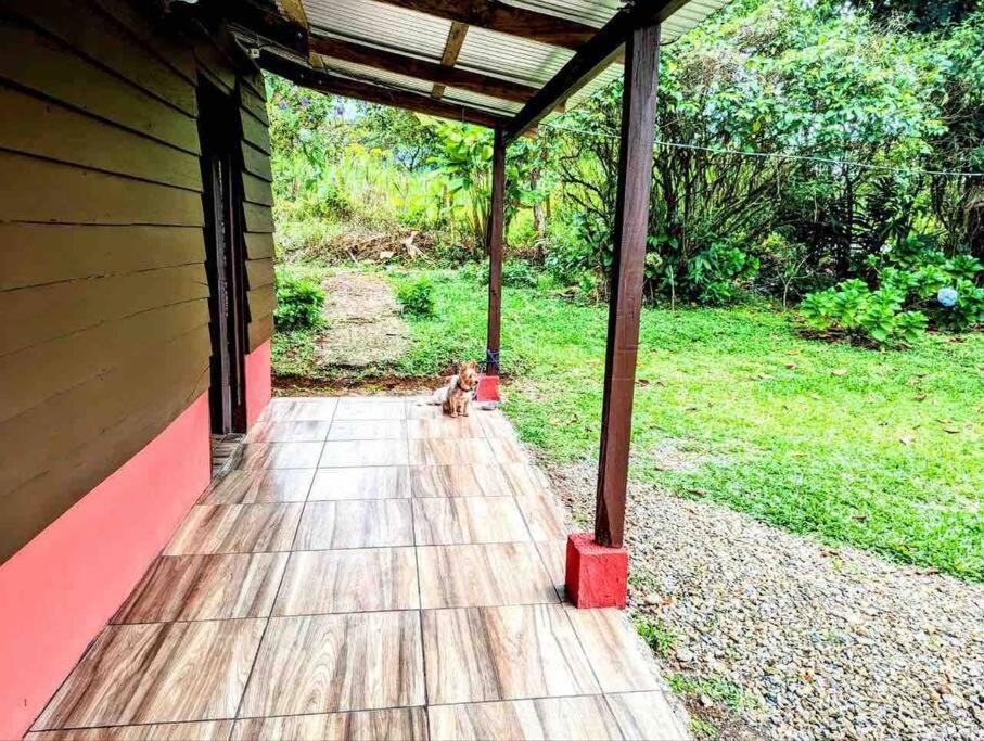 Sendero privado al Río Celeste photo 4