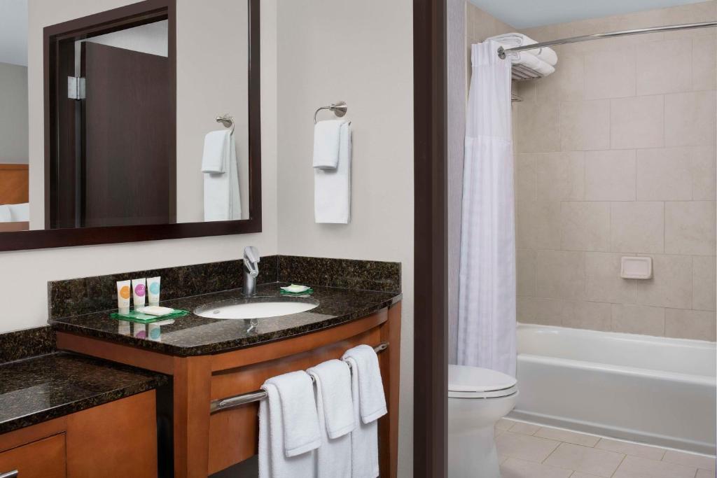 Hyatt Place Houston/Sugar Land Room Type - King Room with Sofa Bed and Lake View