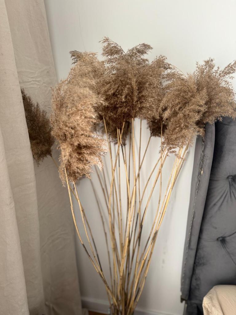 Estella Bara-Nowo Lotnisko 5 min photo 3