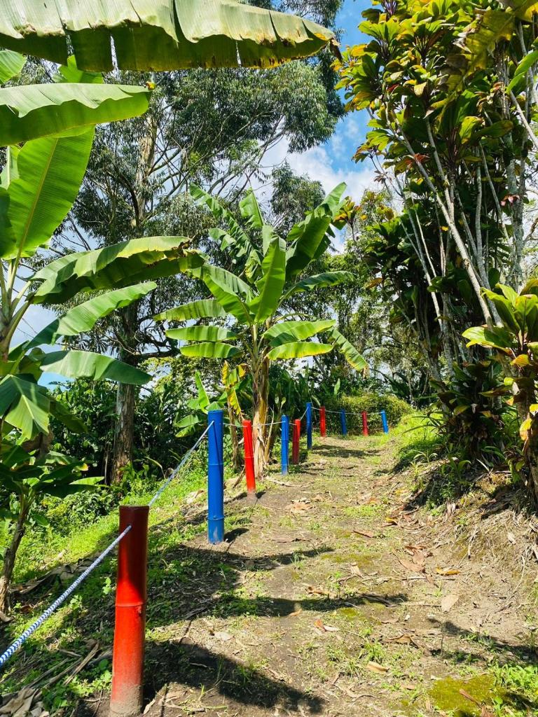 Finca Hotel el Edén del Quindío photo 3