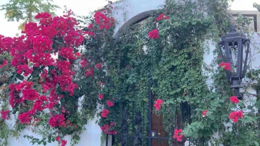 Casa Lucia - LGBTQ - Nudist Optional photo 4