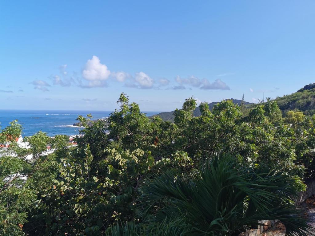 Studio with privacy & wonderful view photo 2