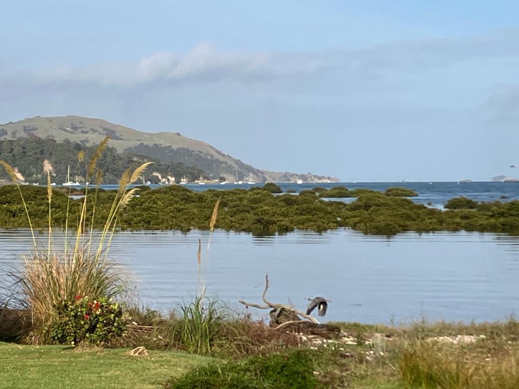 Oystercatcher Bay Boathouse photo 2
