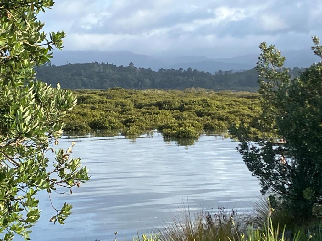 Oystercatcher Bay Boathouse photo 1