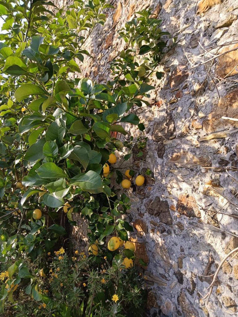 Il Fontolo photo 2