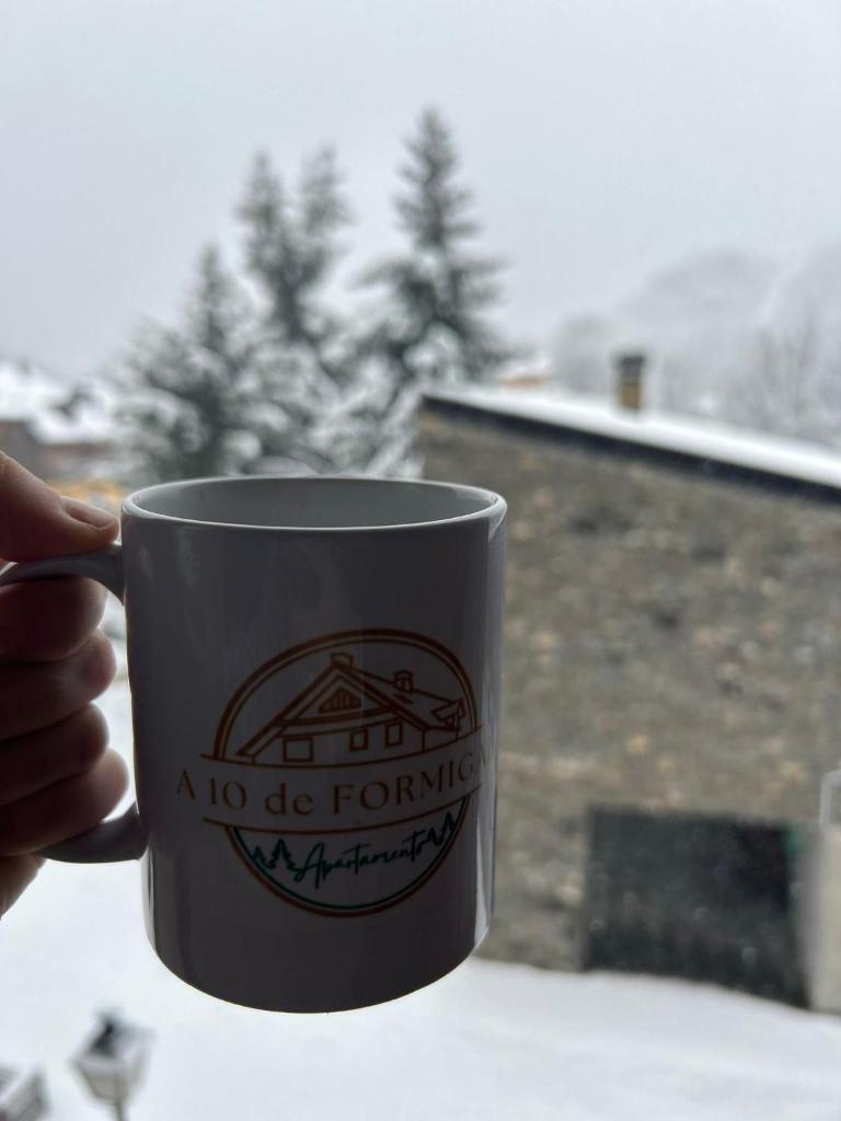 Apartamento A10 de Formigal, 9 personas, amplio y garaje photo 4