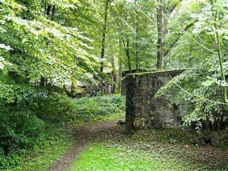 Gîte cosy 4 étoiles avec sauna infrarouge pour 2 à 6 personnes photo 2