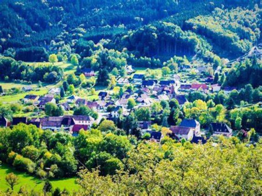 Gîte cosy 4 étoiles avec sauna infrarouge pour 2 à 6 personnes photo 3