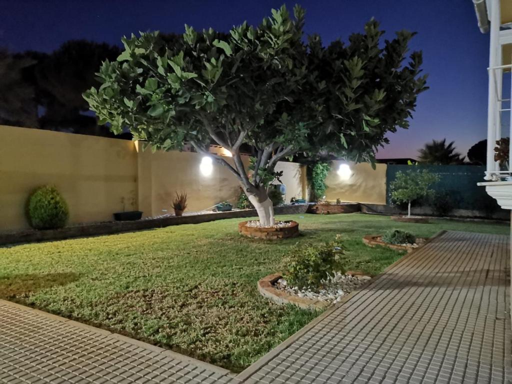 Suit Garden Huelva