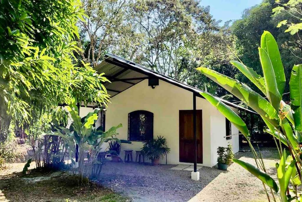 House 400 meters from the Golfo Dulce beach photo 1