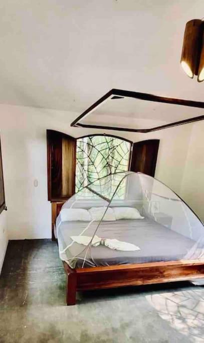 House 400 meters from the Golfo Dulce beach photo 3